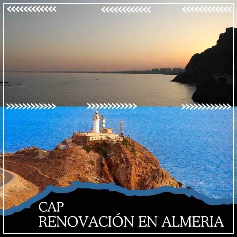 Curso homologado renovación cap en Almería precio y reserva