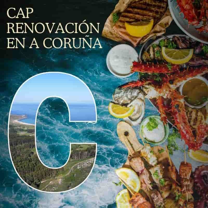 curso homologado renovación cap en a coruña precio reservas