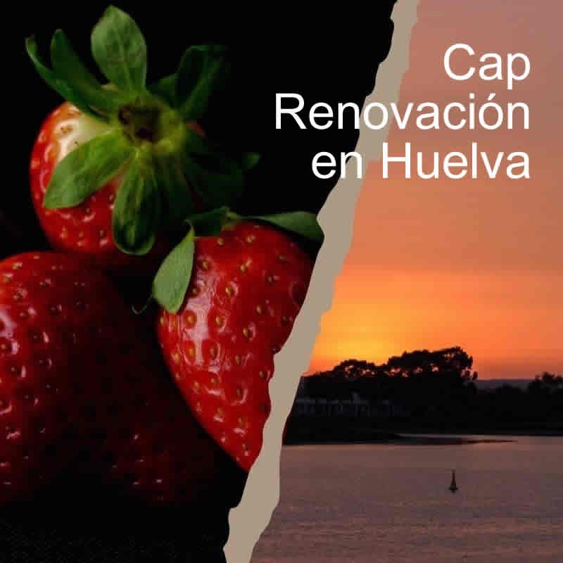 Curso Homologado Renovación Cap en Huelva - Fechas y precios