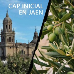 Curso Cap Inicial Homologado en Jaén - Fechas y Precio