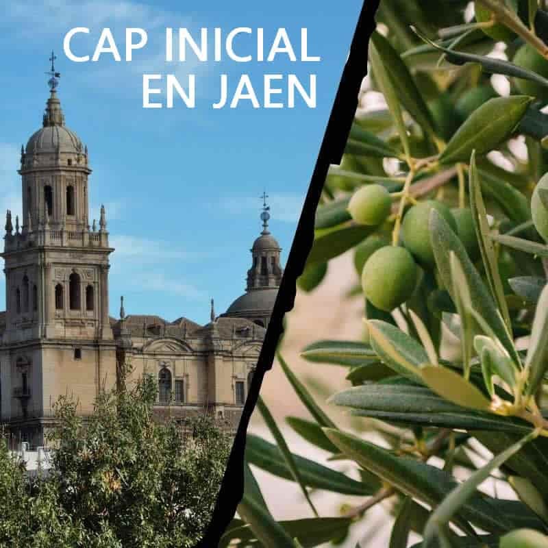 Curso Cap Inicial Homologado en Jaén - Fechas y Precio