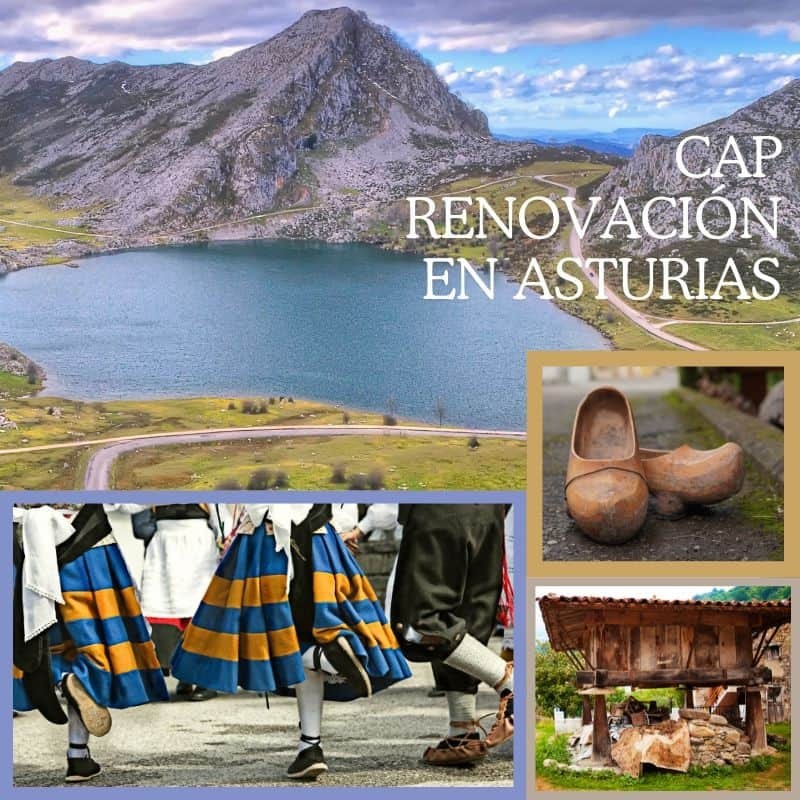 Cap Renovación Continuo