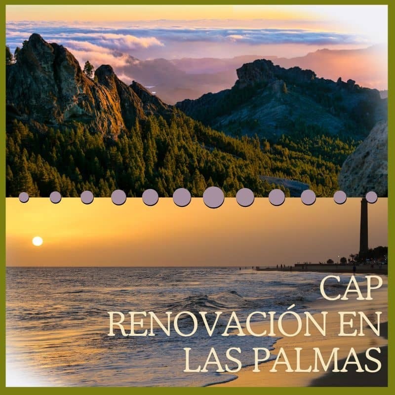 Cap Renovación Continuo