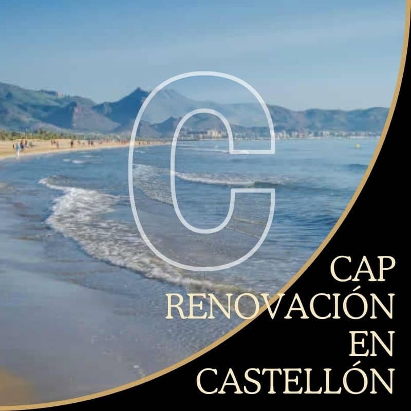 Curso homologado renovación cap Castellón - precio y reserva