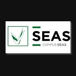 Seas