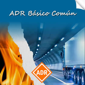 Permiso Adr basico