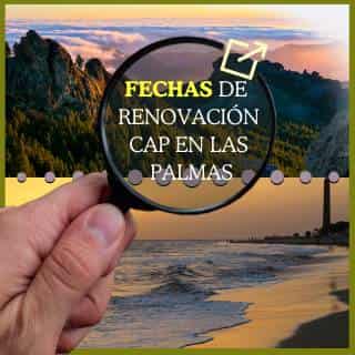fechas y precios cap renovacion en las palmas